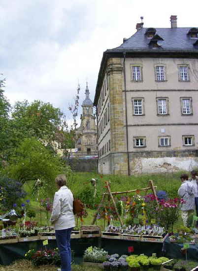 Gartenmarkt 8