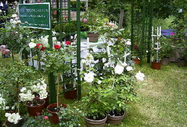 Der Rosengarten