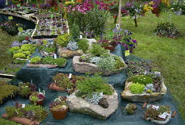 Gartenmarkt 5