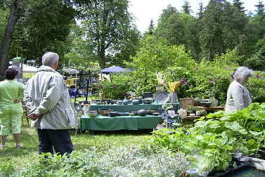 Gartenmarkt 6
