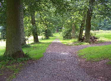 Allee