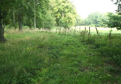 Blick auf die groe Wiese